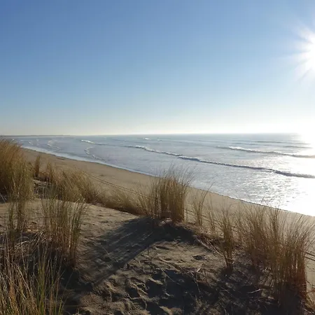 Dom wakacyjny Les Conches By Interhome Saint-Georges-d'Oleron